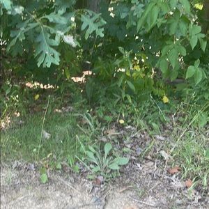 Meet your Posher, Maxwell